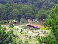 Thung Lũng Vàng - Điểm thu hút du khách du lịch Thung Lũng Vàng - Điểm thu hút du khách du lịch