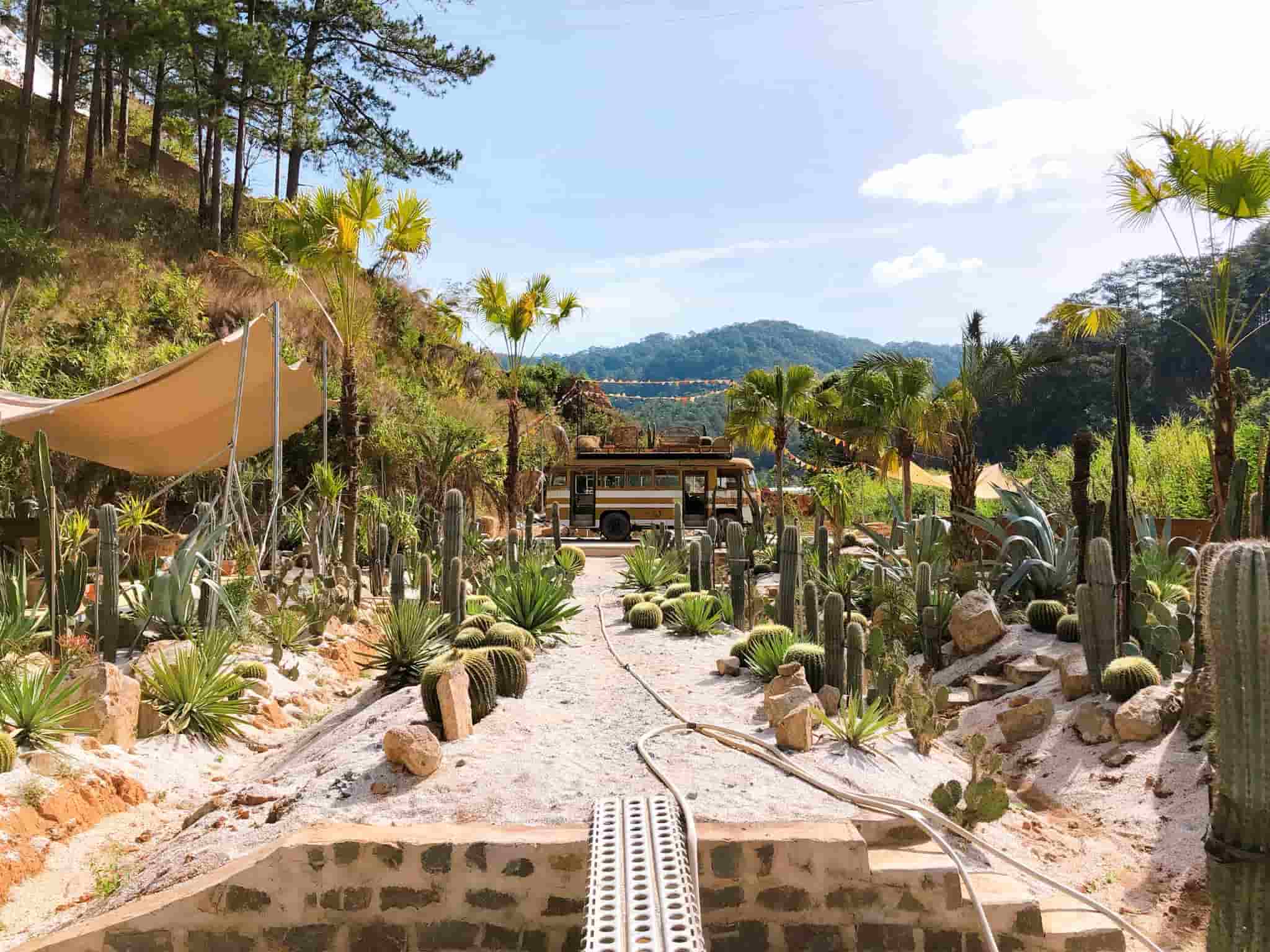 Khám phá Kombi Land Coffee – Ốc Đảo Xương Rồng cực ” HOT ” ở Đà Lạt