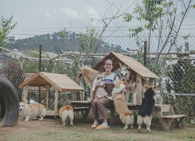 Top 7 Quán cà phê có chó mèo được yêu thích nhất Đà Lạt