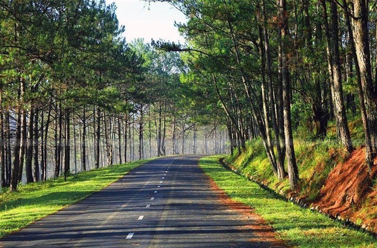 Trải nghiệm đi đà lạt